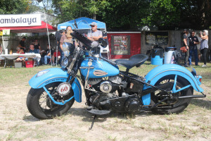 Willie's Old School Choppertime Bike Show (129)